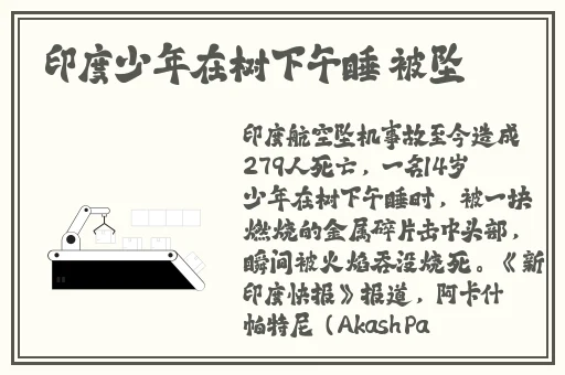 麻豆床传媒官方地